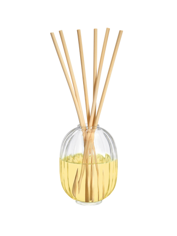 Sapin (Pine Tree) - Home Fragrance Diffuser